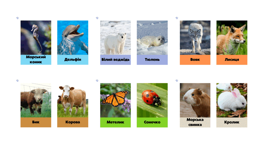 0901ay9g-bcca-940x529.png