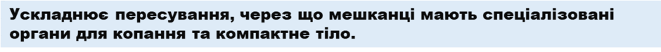 0901b1tm-0ae1-940x74.png
