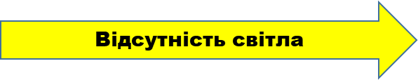 0901b1tp-776f-596x114.png