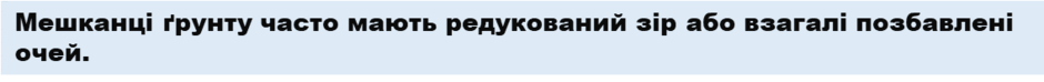 0901b1tw-0567-940x74.png