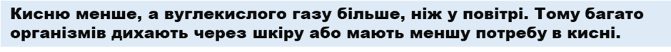 0901b1ua-16e9-940x74.png