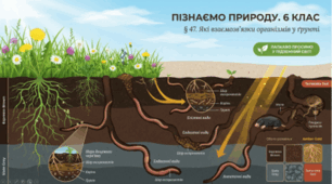 Які взаємозв'язки організмів у ґрунті. 6 клас НУШ