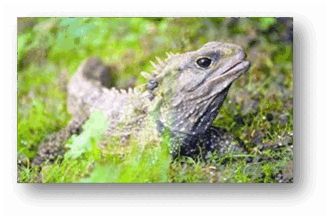 0901b48b-1882-305x203.png