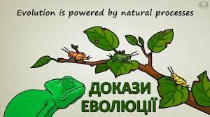 Характеристика еволюційних процесів