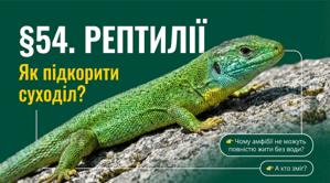 Рептилії. 7 клас НУШ