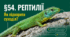 Рептилії. 7 клас НУШ