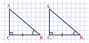 0901b764-3175-314x152.png