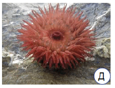 0901b93e-cf09-229x175.png