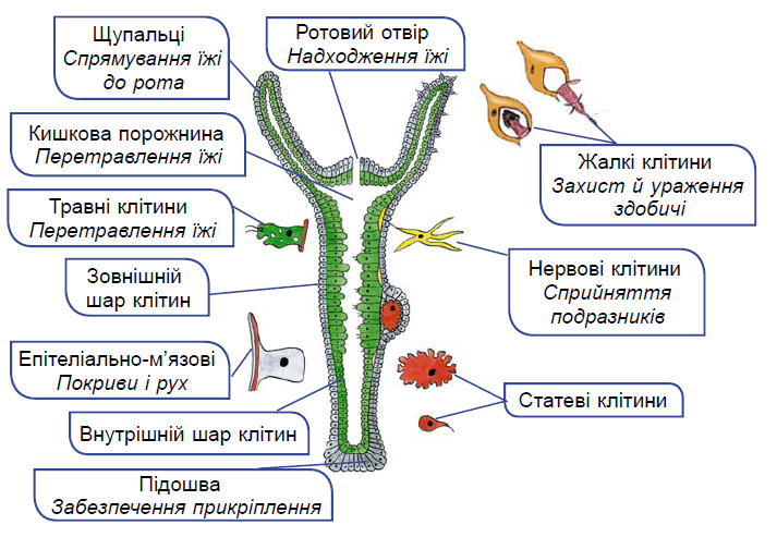 0901b949-2e9b-713x493.png
