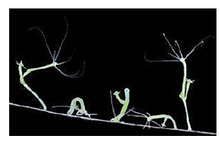 0901b957-284c-312x203.png
