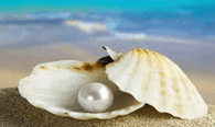 0901b9li-321d-195x116.png