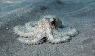 0901b9lu-d95b-191x112.png