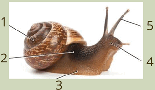0901b9m7-6d4c-320x186.png