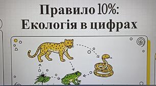Відеопояснення. "Правило 10. Екологія в числах".