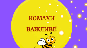 Навчальна презентація "Будова комах"