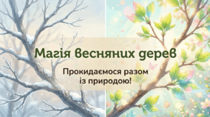 презентація Весняні зміни в природі: як прокидаються дерева