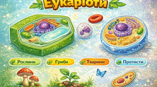 Ознаки еукаріотів та прокаріотів