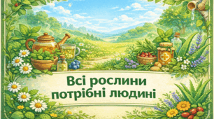 Проєкт “Всі рослини потрібні людині”