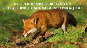 Як організми співіснують у середовищі. Паразити і хижаки 6 кл.  2025/26