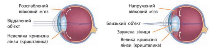 0901bloi-db35-715x177.png