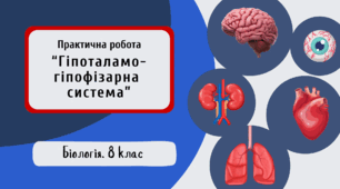 Практична робота “Гіпоталамо-гіпофізарна система”