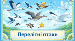 Проєкт "Перелітні птахи"