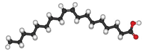 0901bn36-c03d-600x211.png