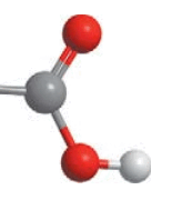 0901bn5f-8139-155x180.png