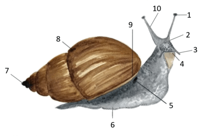 0901bnbf-e721-673x443.png