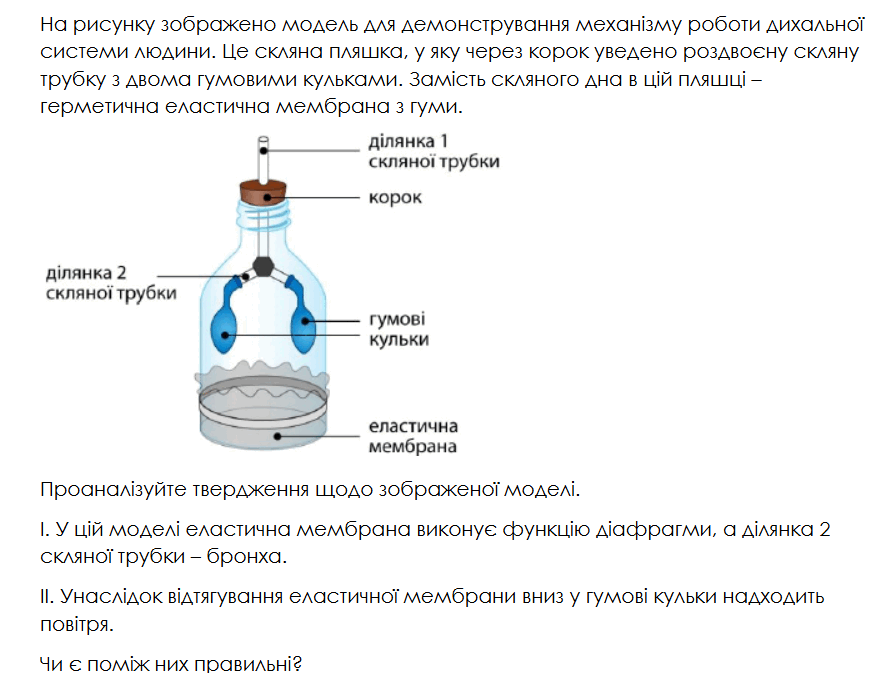 0901bp50-70c8-887x673.png