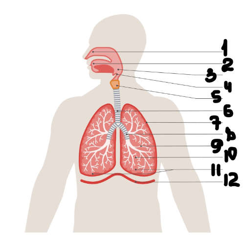 0901bq9b-b752-497x487.png