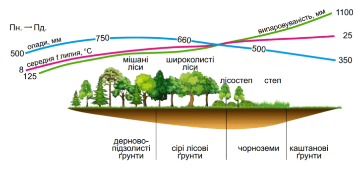 0901bs6d-d9d4-781x369.png