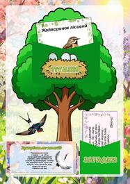 0901btsh-00ab-187x265.jpg