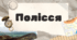 Полісся