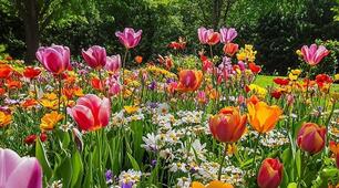 Spring questions