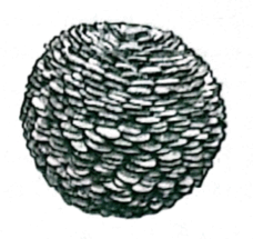 0901bwep-0f05-228x215.png