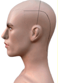 0901bxew-6a45-347x493.png