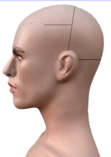 0901bxr1-5910-373x527.png