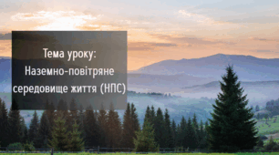Презентація "Особливості наземно-повітряного середовища життя"