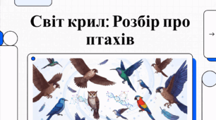 Відеоогляд "1 квітня - День птахів"