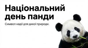 День панди.Презентація