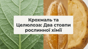 Презентація "Крохмаль. Целюлоза"