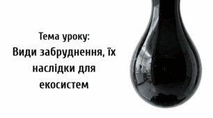 Презентація "Види забруднення, їх наслідки для екосистем"