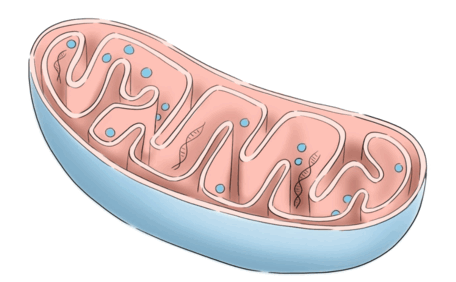 0901c8hy-99e2-456x282.png
