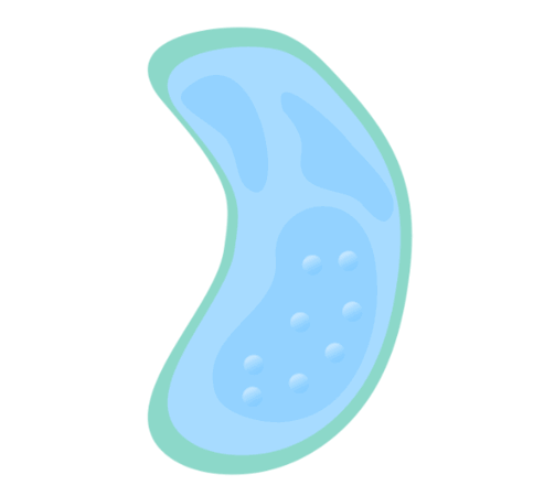 0901c8iu-0ac0-493x450.png