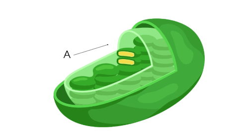 0901c8jq-f6cb-477x274.png