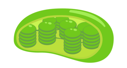 0901c8nk-3bbd-425x230.png