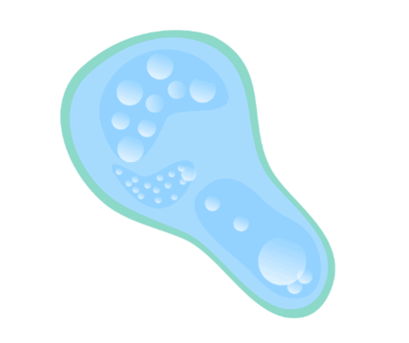 0901c8oc-6611-462x387.png