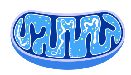 0901c8ox-d52a-420x240.png