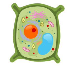 0901c8z6-4b7b-267x252.png
